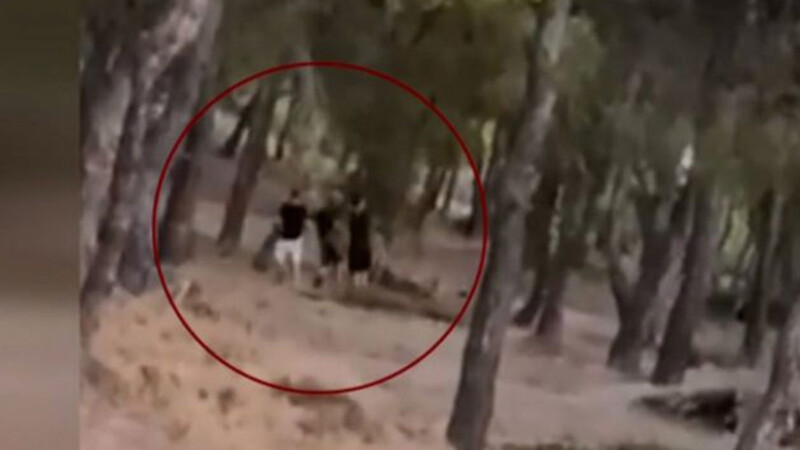 Βίντεο ντοκουμέντο: Έφηβοι έβαλαν φωτιά σε δάσος στα Βριλήσσια