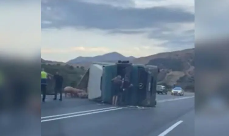 Κρήτη: Τροχαίο στον ΒΟΑΚ - Φορτηγό με ζώα εξετράπη της πορείας του και έκλεισε το ένα ρεύμα κυκλοφορίας - Τελευταία νέα & Έκτακτες ειδήσεις Live