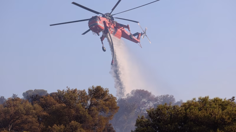 Φωτιά στον Άγιο Κωνσταντίνο του Πύργου Ηλείας - Επιχειρούν τρία αεροσκάφη - Τελευταία νέα & Έκτακτες ειδήσεις Live