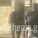 Αδιανόητη σκληρότητα στα Νέα Στύρα: Έδεσε άλογο στην καρότσα!