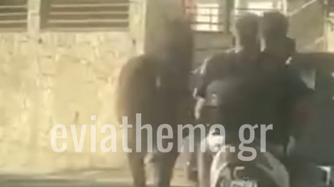 Αδιανόητη σκληρότητα στα Νέα Στύρα: Έδεσε άλογο στην καρότσα!