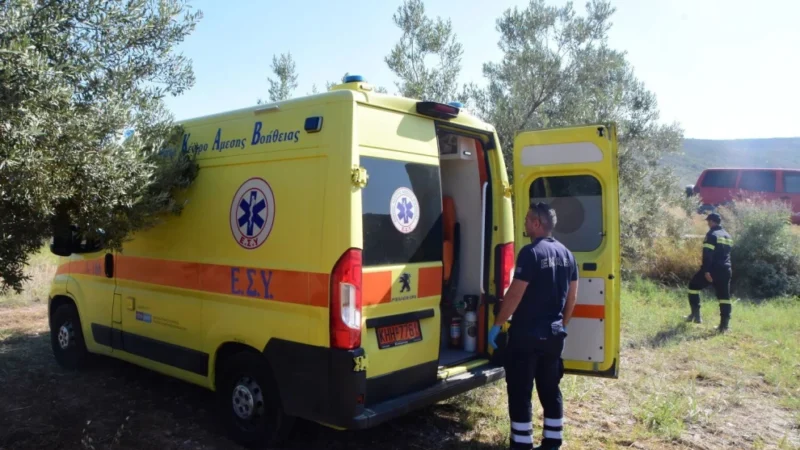 Άγιο Όρος: Νεκρός 52χρονος χειριστής εσκαφέα μετά την εκτροπή του μηχανήματος - Τελευταία νέα & Έκτακτες ειδήσεις Live