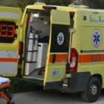 Θεσσαλονίκη: 12χρονη δέχθηκε επίθεση από 4 αδέσποτα σκυλιά στην περιοχή του Δρυμού - Τελευταία νέα & Έκτακτες ειδήσεις Live