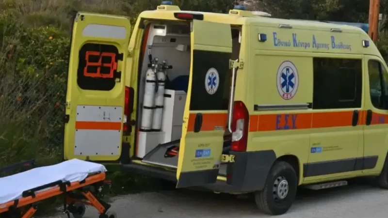 Θεσσαλονίκη: 12χρονη δέχθηκε επίθεση από 4 αδέσποτα σκυλιά στην περιοχή του Δρυμού - Τελευταία νέα & Έκτακτες ειδήσεις Live