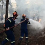 Φωτιά στη Νέα Καλλικράτεια Χαλκιδικής - Επιχειρούν πυροσβεστικές δυνάμεις - Τελευταία νέα & Έκτακτες ειδήσεις Live