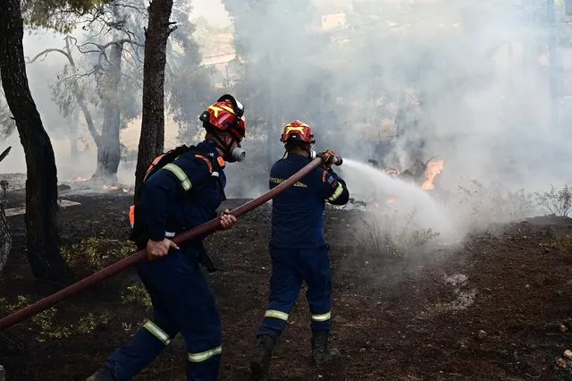 Φωτιά στη Νέα Καλλικράτεια Χαλκιδικής - Επιχειρούν πυροσβεστικές δυνάμεις - Τελευταία νέα & Έκτακτες ειδήσεις Live