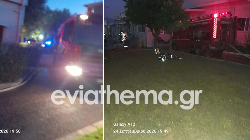 Συναγερμός στη Χαλκίδα: Φωτιά σε εργοστάσιο χημικών δίπλα στα Ναυπηγεία