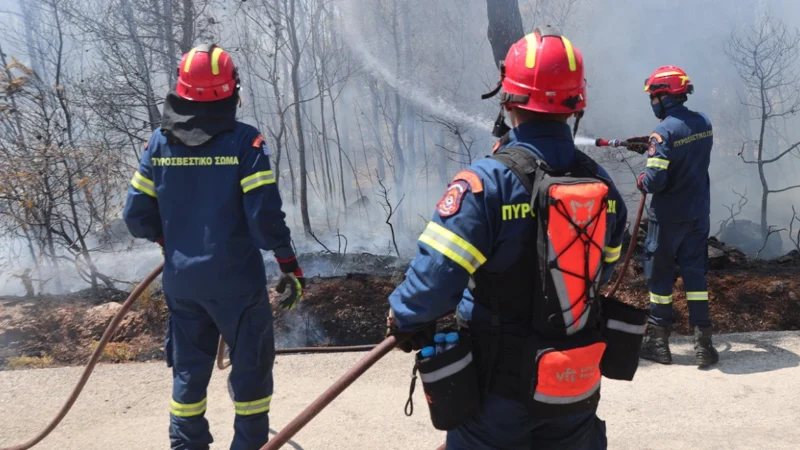 Φωτιά στη Σαλαμίνα, στην περιοχή Περάνι - Μήνυμα του 112 στους κατοίκους για εκκένωση προς Αιάντειο - Τελευταία νέα & Έκτακτες ειδήσεις Live