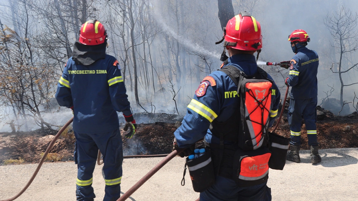 Φωτιά στη Σαλαμίνα, στην περιοχή Περάνι - Μήνυμα του 112 στους κατοίκους για εκκένωση προς Αιάντειο - Τελευταία νέα & Έκτακτες ειδήσεις Live