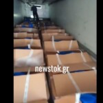 Ηγουμενίτσα: Έπιασαν νταλίκα με 300 κιλά skunk από Ισπανία - Βίντεο ντοκουμέντο