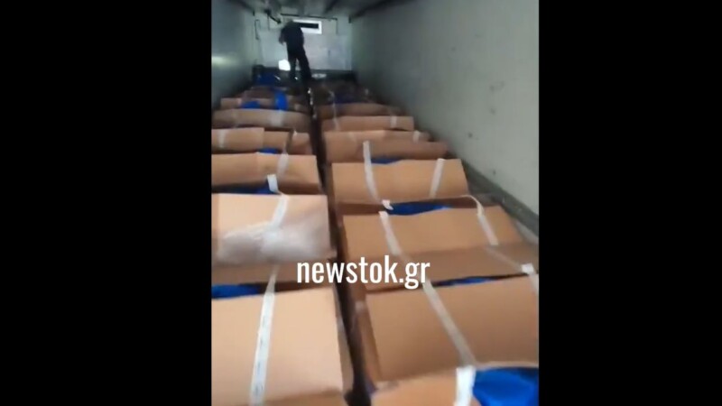 Ηγουμενίτσα: Έπιασαν νταλίκα με 300 κιλά skunk από Ισπανία - Βίντεο ντοκουμέντο