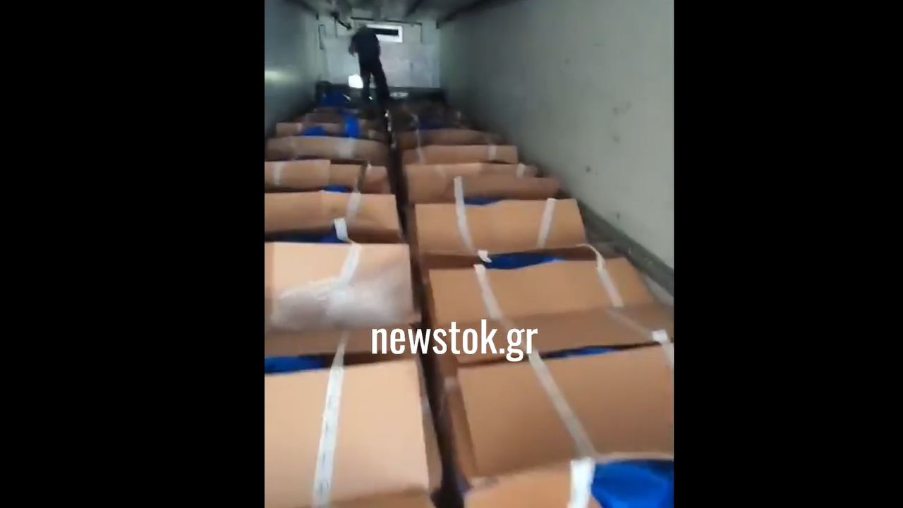 Ηγουμενίτσα: Έπιασαν νταλίκα με 300 κιλά skunk από Ισπανία - Βίντεο ντοκουμέντο