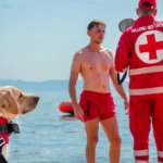 Ήρα: Ο πρώτος σκύλος υγρού στοιχείου του Ελληνικού Ερυθρού Σταυρού που σώζει ζωές σε νερό και χαλάσματα - Τελευταία νέα & Έκτακτες ειδήσεις Live