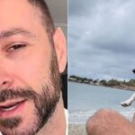 ''Οι θάλασσες θα μας ενώνουν για πάντα, κοριτσάκι μου'' - Έφυγε από τη ζωή η Μιλού, η αξιαγάπητη ''κοντή'' σκυλίτσα που αγάπησε όλη η Ελλάδα - Τελευταία νέα & Έκτακτες ειδήσεις Live