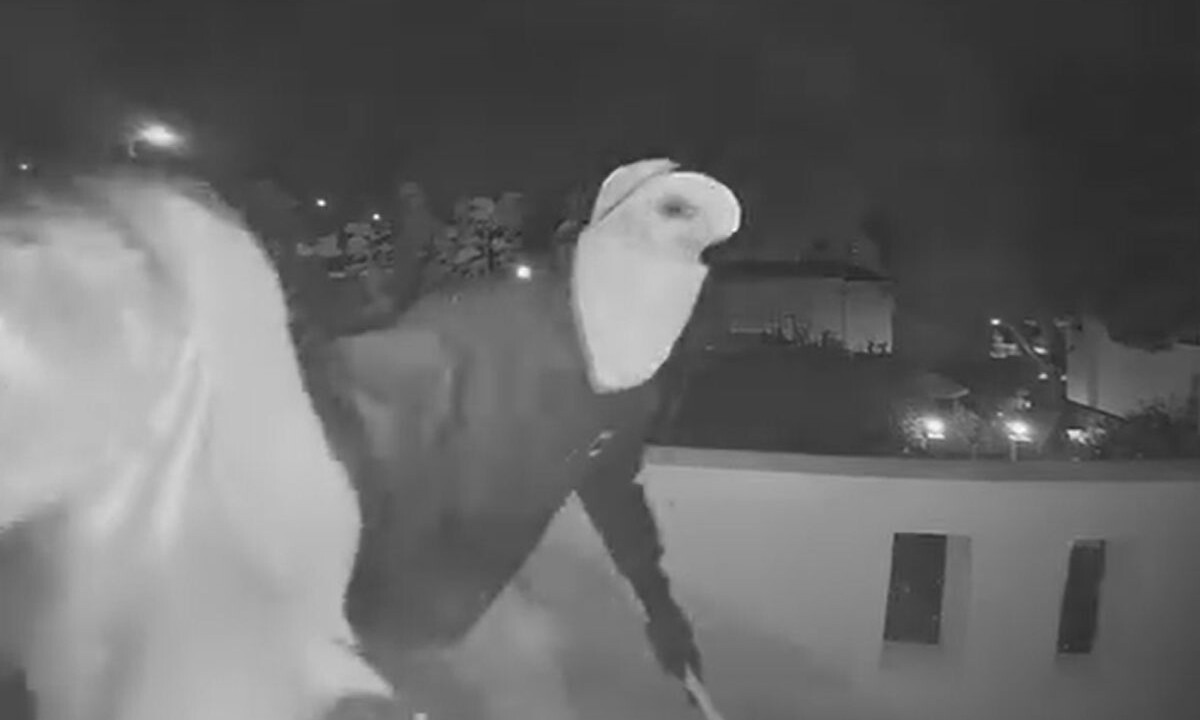 Διαρρήκτες Πόρτο Ράφτη