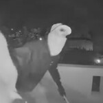 Διαρρήκτες Πόρτο Ράφτη