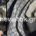 Κύκλωμα ναρκωτικών / Επιχείρηση αστυνομίας