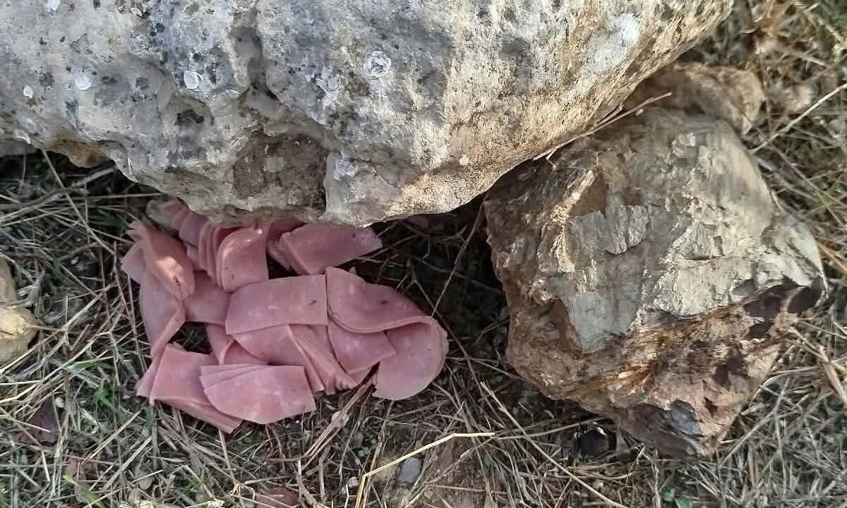 Ύποπτα δολόματα στην Κρήτη
