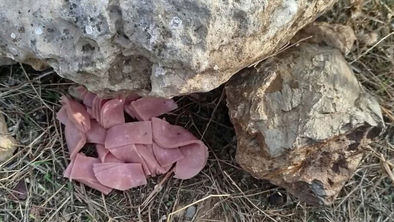 Ύποπτα δολόματα στην Κρήτη