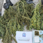 Ναρκωτικά Πέλλα