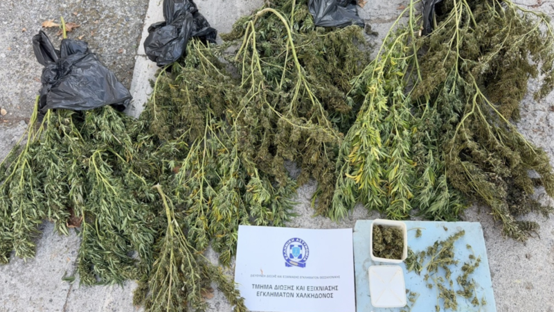 Ναρκωτικά Πέλλα