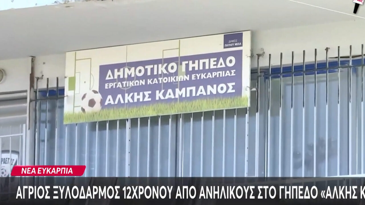 Νέα Ευκαρπία: Επίθεση σε 12χρονο από συνομηλίκους του – Αναζητούνται